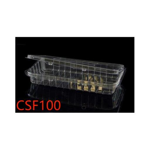 CSF100