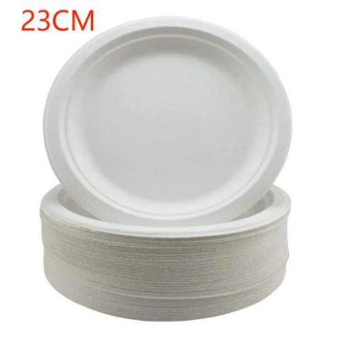 Piatto bio 23cm 500pz - immagine 1