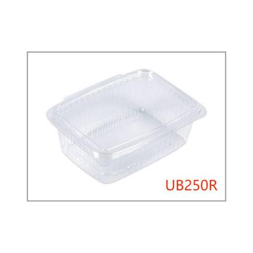 UB250